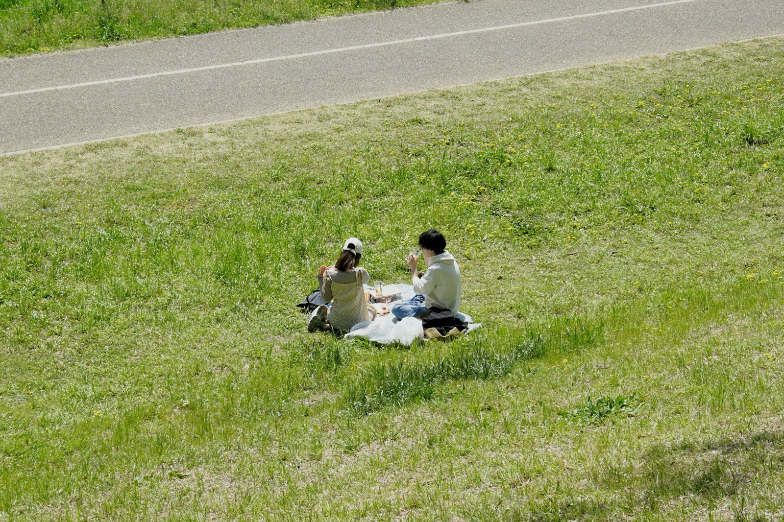 Couple enjoys a picnic in the grass.